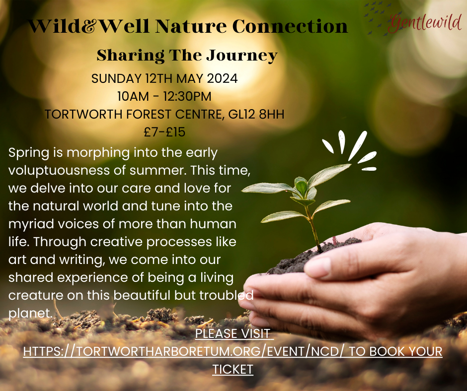 Wild&Well: Nature Connection. Session 4 – Sharing The Journey